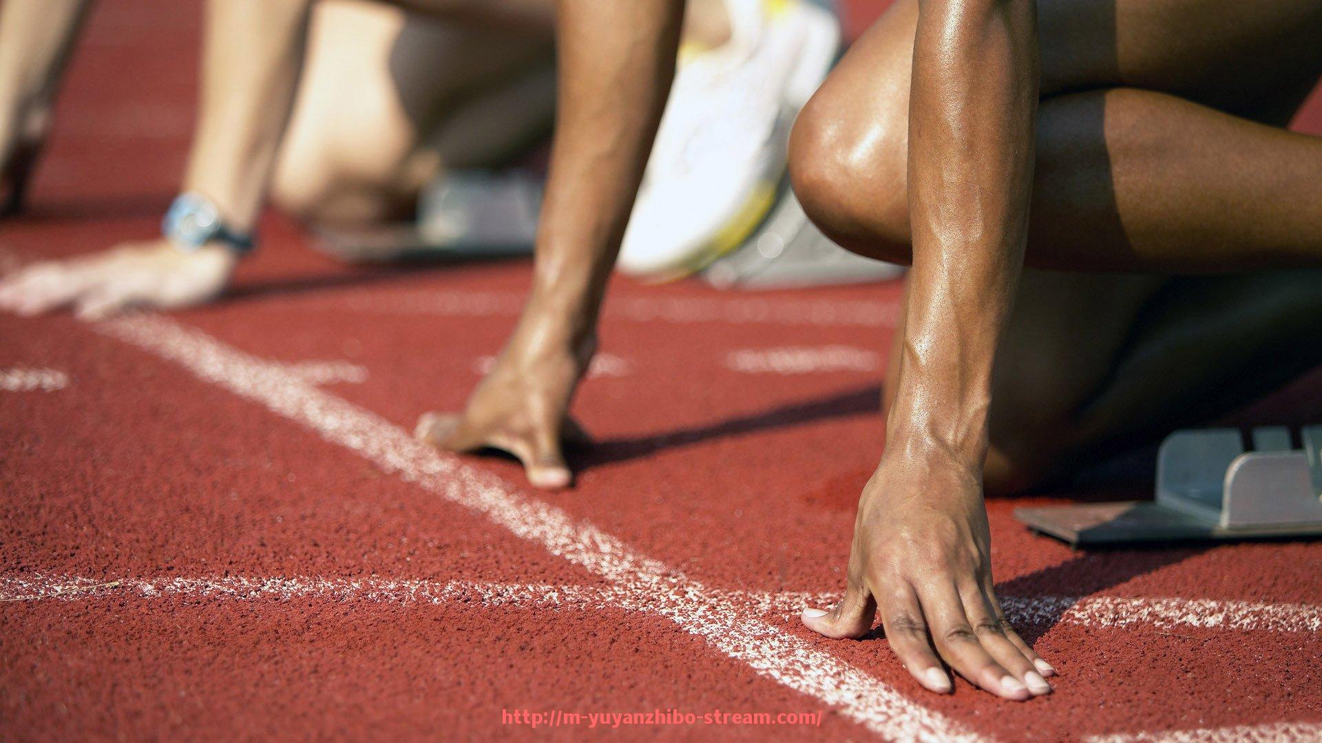 雨燕直播-篮球运动员“非对抗下判断习惯”是否会在强对抗中形成失误盲区