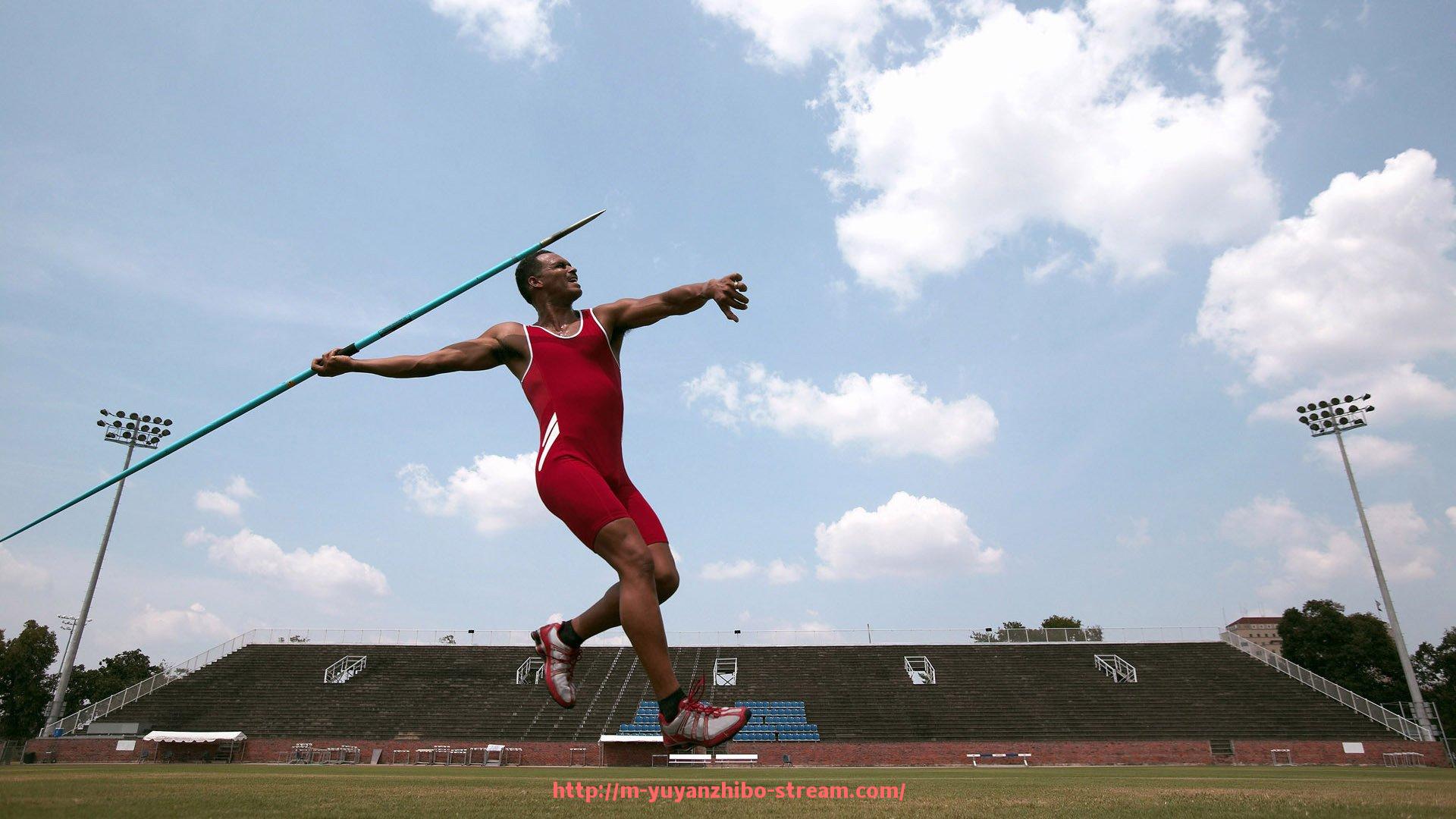 雨燕直播-世俱杯赞助资金分配管理流程优化与合规审查