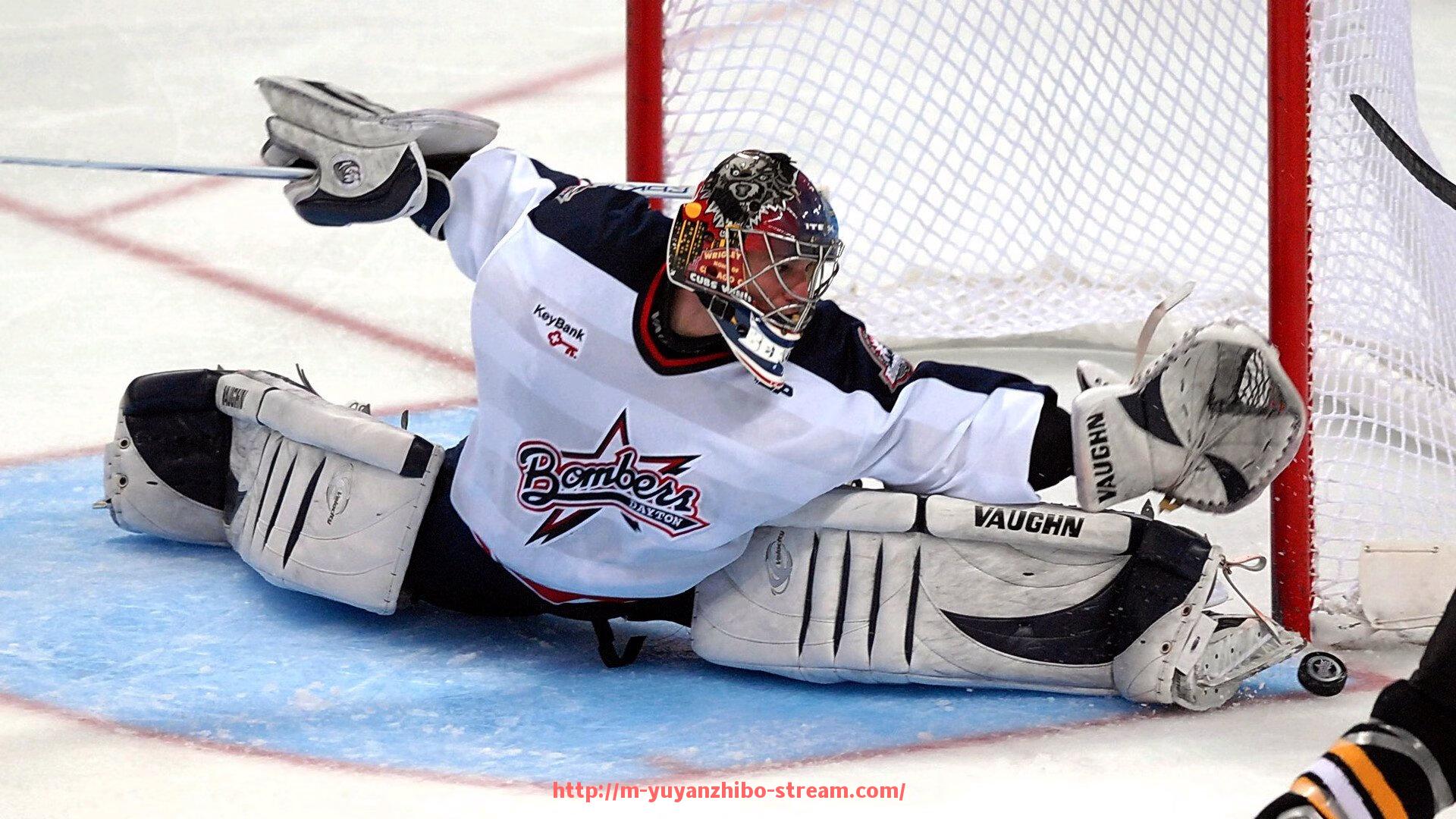 雨燕直播-德甲球队电话号码大全，方便球迷与俱乐部联系