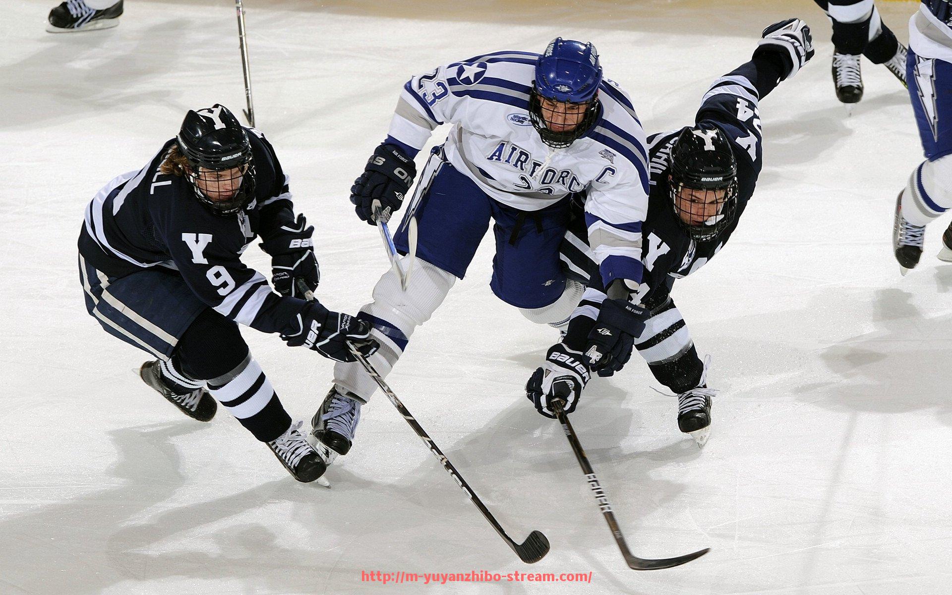 雨燕直播-世俱杯比赛场地出入口及动线管理标准与观众分流方案