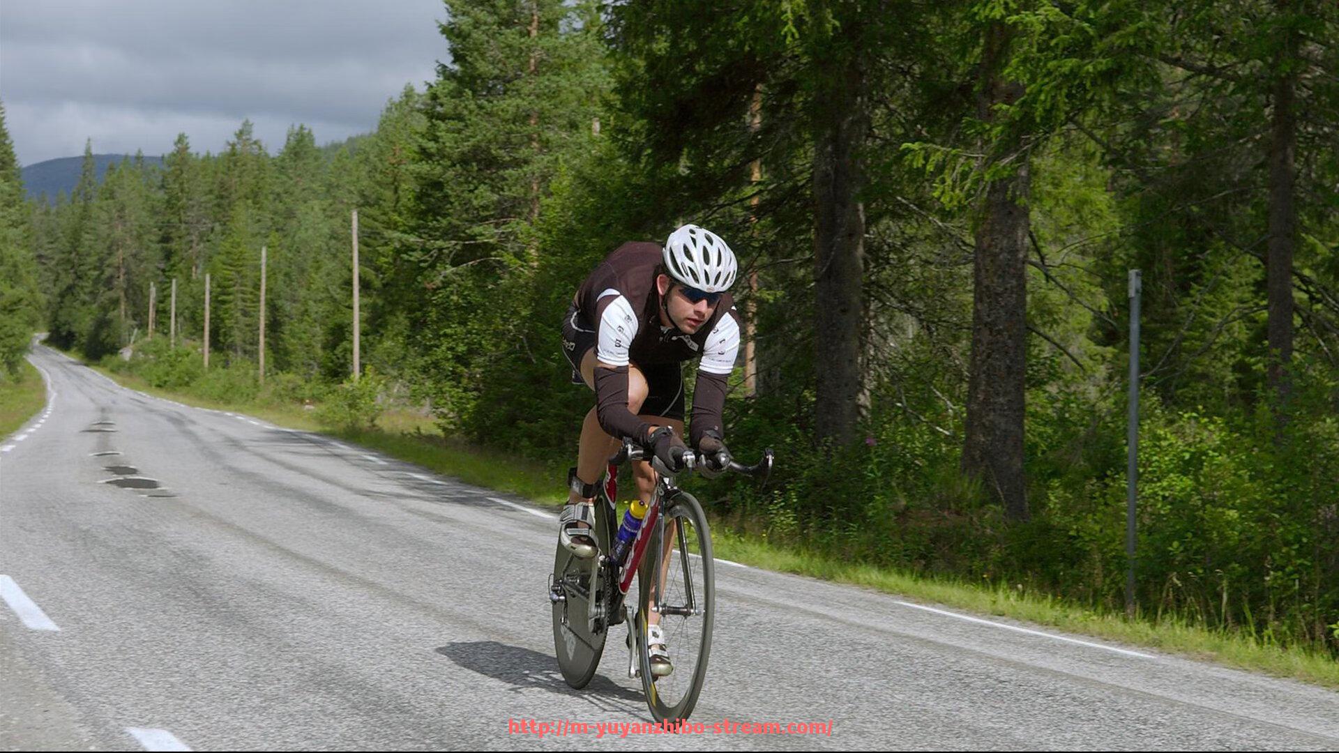 雨燕直播-联动推广新方向：世俱杯赞助品牌联合营销计划解析